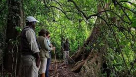 From Arusha: Napuru Waterfall and Lake Duluti Guided Tour