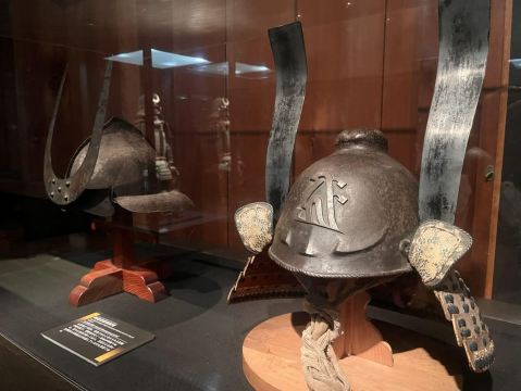 從東京出發：小田原城、武士博物館和工藝之旅