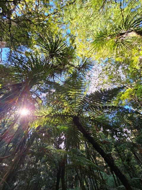 *Popular Tour* - Bay of Islands: Nature Adventure Tour
