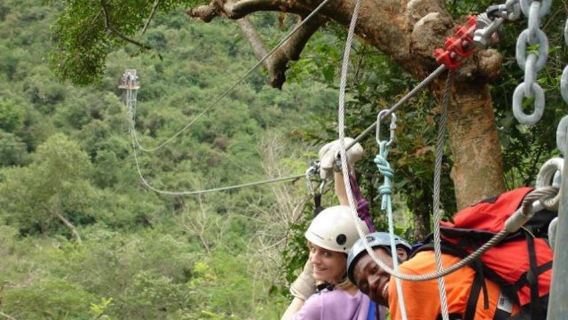 Hazyview: Trải nghiệm đu dây Zipline trên sông Sabie kéo dài 2,5 giờ