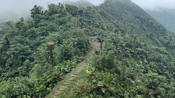Roseau: Morne Diablotin Hike