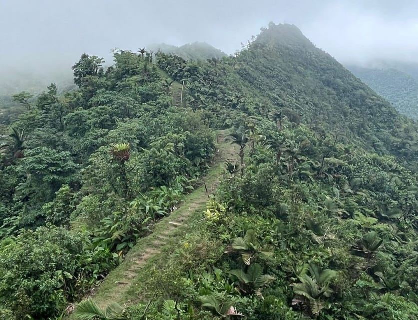 Roseau: Morne Diablotin Hike