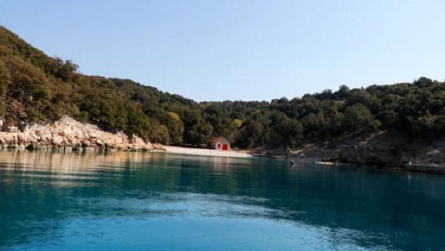 5h Plavnik Island: Swim & Snorkel with Capt. Bobo (Public)
