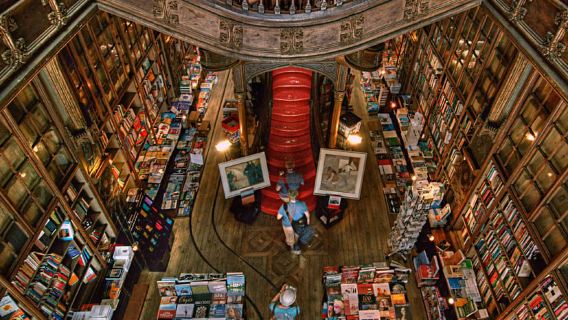 Porto: tour a piedi, libreria Lello, barca e funivia