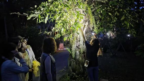 Tour privato di un giorno al Giardino Botanico di Xishuangbanna