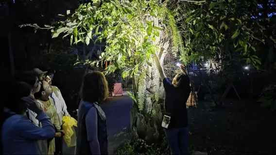 Excursión privada de un día al Jardín Botánico de Xishuangbanna