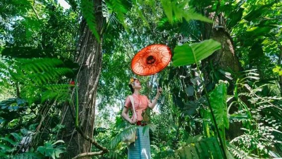 西雙版納熱帶植物園+傣族園一日遊【純玩0購物/進店必賠】