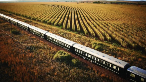Rovos Rail Luxury Train Experience