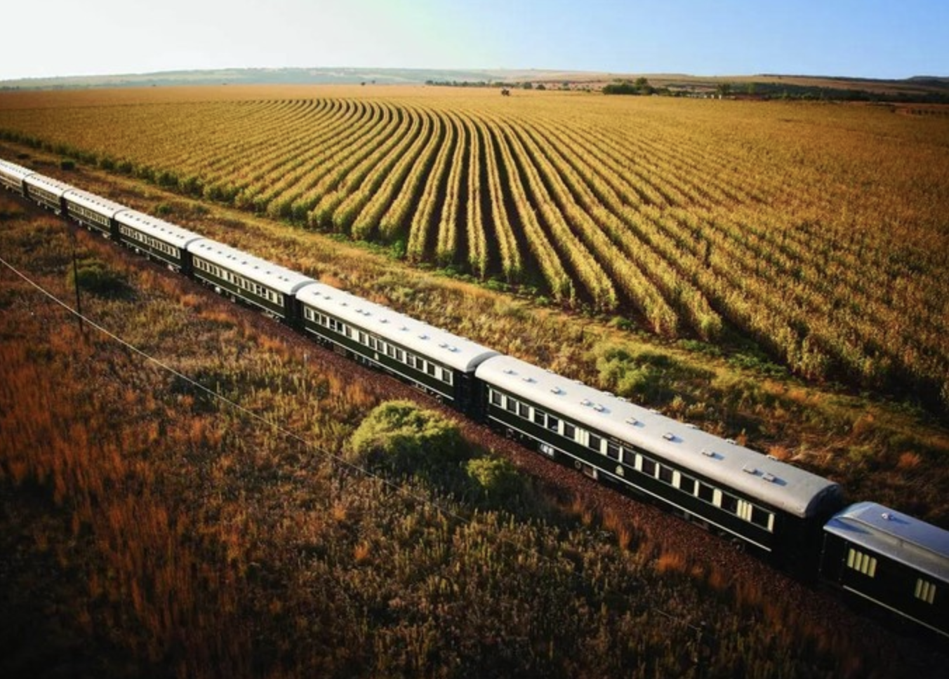 Rovos Rail Luxury Train Experience