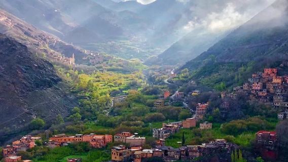 tour 1 ngày Agafay và dãy núi Atlas|Vượt qua núi rừng, gặp gỡ "sa mạc mặt trăng"