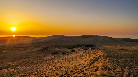 Une excursion nocturne hivernale de rêve aux dunes de sable de Tottori pour profiter du coucher de soleil et du spectacle de lumière des sculptures de sable au musée du sable