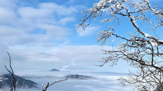 Au départ de Chengdu : Excursion d'une journée à Xiling Xueshan (profitez de la neige et des activités ludiques|Guide touristique en anglais optionnel