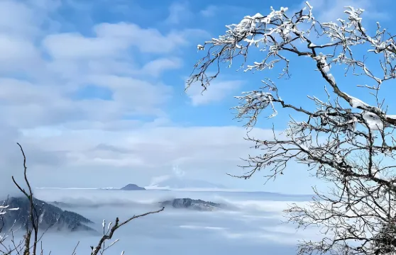 成都出發：西嶺雪山一日遊（賞雪玩趣）|可選英文導遊）