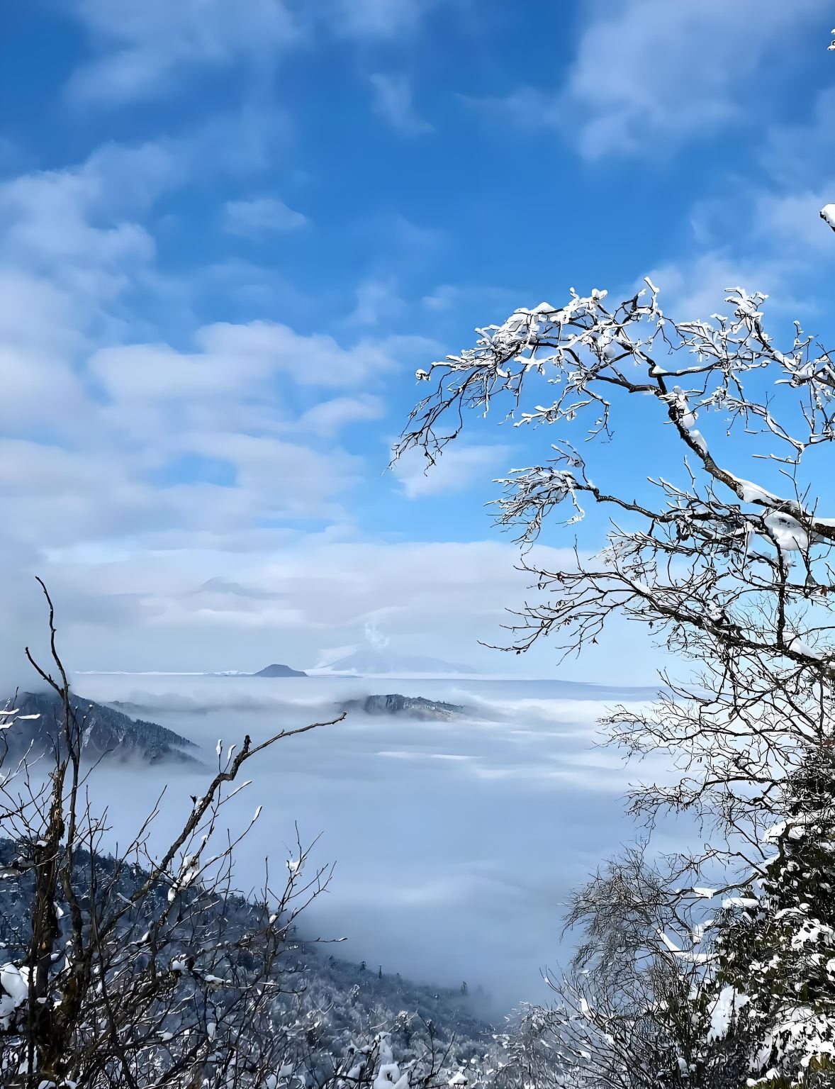 Partenza da Chengdu: tour di un giorno alla Montagna Xiling (divertimento con la neve)|guida in inglese opzionale