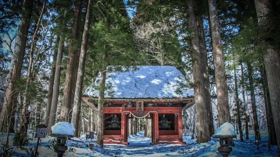 Parc des singes des neiges de Jigokudani à Nagano, Japon + visite privée du Togakushi-jinja avec guide touristique local