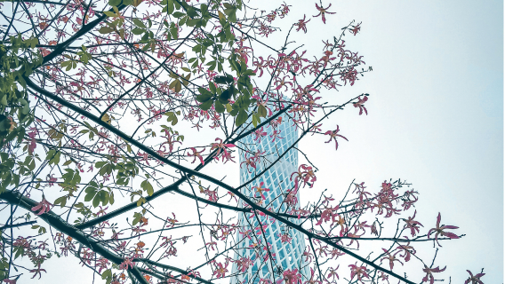 廣州塔+珠江夜遊+沙面+陳家祠+永慶坊一日遊【獨立包車遊】