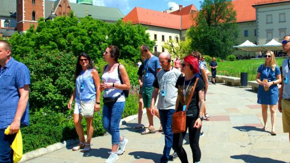 Wawel Castle Guided Interior Tour: Skip-the-Line
