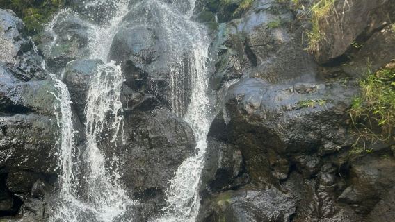 Waimea Valley: Guided Waterfall Hike & Swim Tour from Waikiki