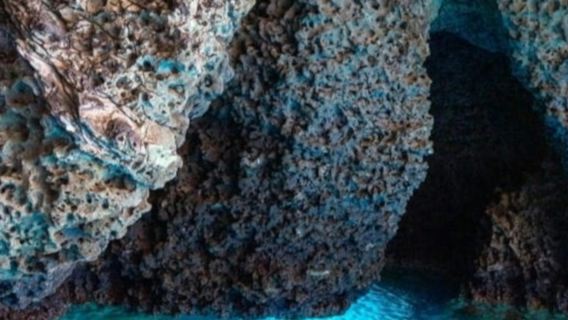 Isola Bella: Tour guidato in barca + Pasticcini e bevande