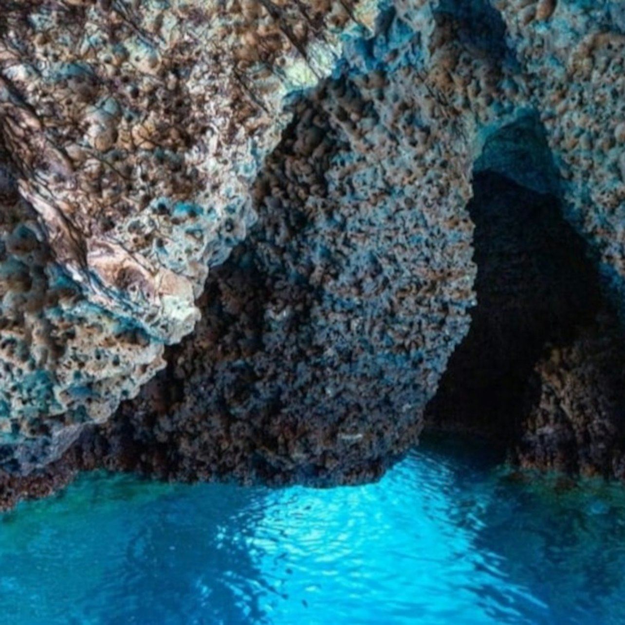 Isola Bella: Tour guidato in barca + Pasticcini e bevande