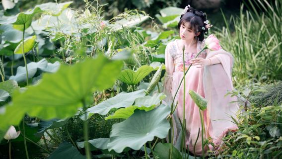 Daming travel photo shoot[Daming Ancient City photography and videography services + multilingual local photographer guide]