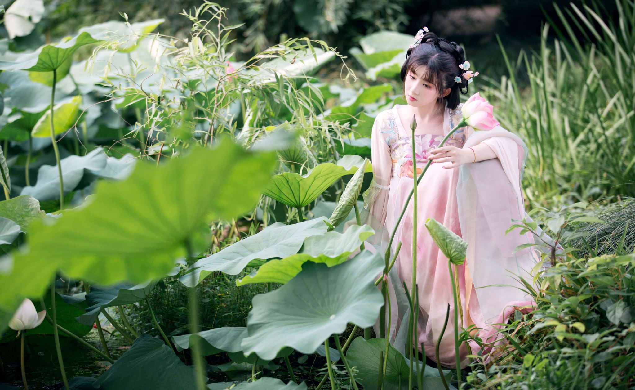 Daming travel photo shoot[Daming Ancient City photography and videography services + multilingual local photographer guide]