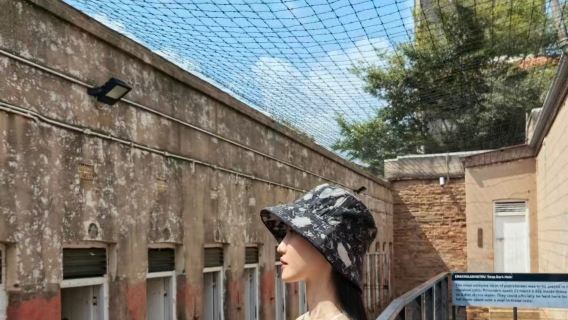 Tagesausflug mit Privattransfer in Johannesburg, Südafrika: Verfassungshügel (Constitution Hill), Gold Reef City und Apartheid-Museum