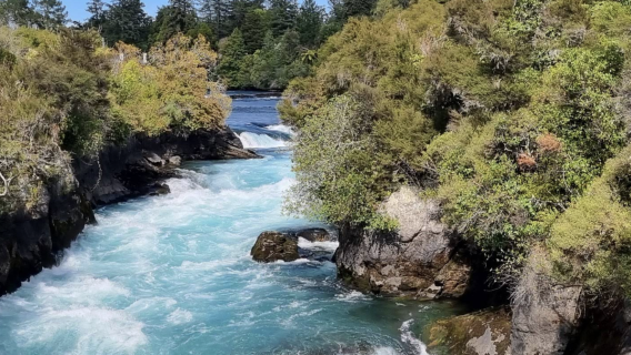 紐西蘭奧克蘭-教堂灣-熱水沙灘-可定制【中文專車-愜意舒適】