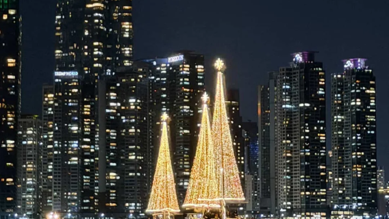 와이홀릭 부산 요트|요트 불꽃놀이|한국 드라마 같은 분위기