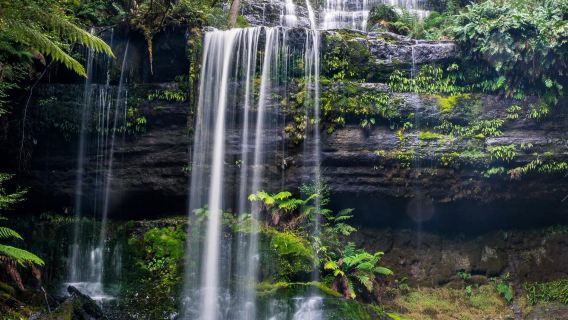 塔州自營|澳洲塔斯馬尼亞菲爾德山國家公園一日遊|上門接天天發