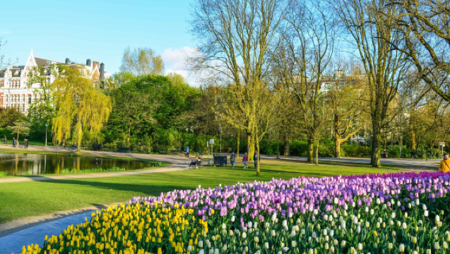 1-day tour to Van Gogh Museum + Stedelijk Museum + The Concertgebouw + Vondelpark