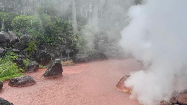 Fukuoka Oita|1-day Private Charter Tour to Yufuin Floral Village, Kuju Dream Bridge, and Beppu Hell Hot Springs