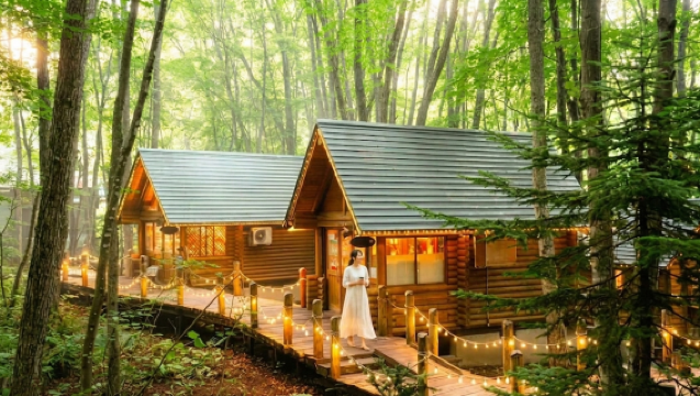 Hokkaido Winter Classic 1-day Tour: Asahiyama Zoo + Shirahige Waterfall + Shirogane Blue Pond (Aoiike) + Forest Elf Terrace