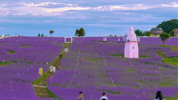 Customized private charter in Liupanshui, Guizhou: Yejiping Village + Beipanjiang Bridge + Haiping Yi Town