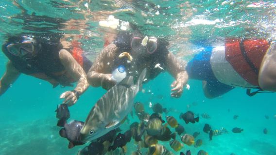 Blauwe Lagune en Tanjung Jepun snorkelen in Padang Bai Bali