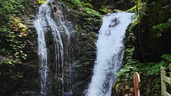 Desde Chengdu: Excursión de un día en grupo pequeño de 8 personas/grupo privado con entradas incluidas | Valle de la Cascada Sagrada (ida y vuelta)