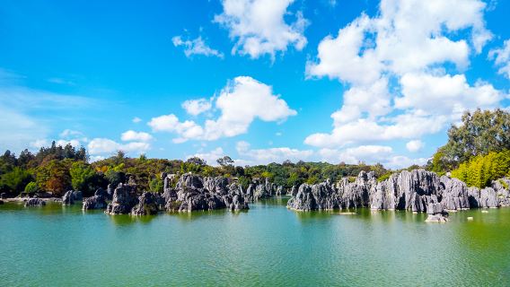 Kunming Shilin + Dianchi Lake + Haigeng Park 1-day tour [2-8 person group] | Pure play tour | Private tour optional