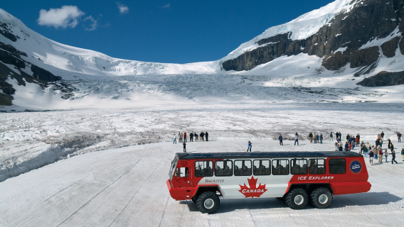 Columbia Icefield Adventure (including Ice Explorer) | Calgary & Banff National Park