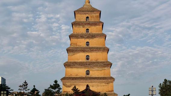 Xi'an Pagoda del Gran Ganso Salvaje + Jardín de Lotos de la Gran Tang + espectáculo inmersivo "Sueños de la Gran Tang" en barco - excursión de medio día