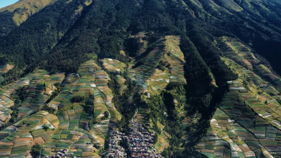 [Yogyakarta Indonesia pergi-balik] Gunung Merapi + Taman Negara Gunung Merbabu lawatan sewa peribadi, pengangkutan dari rumah