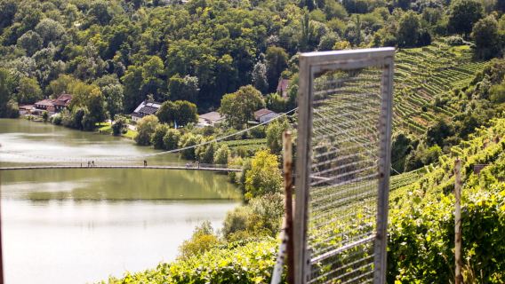 Stuttgart Nature Experience Day