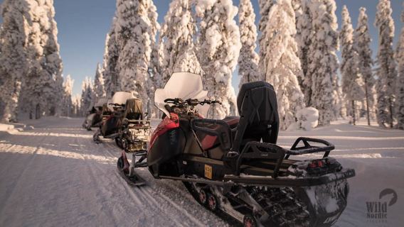 Rovaniemi: Half Day Snowmobile Safari with Lunch
