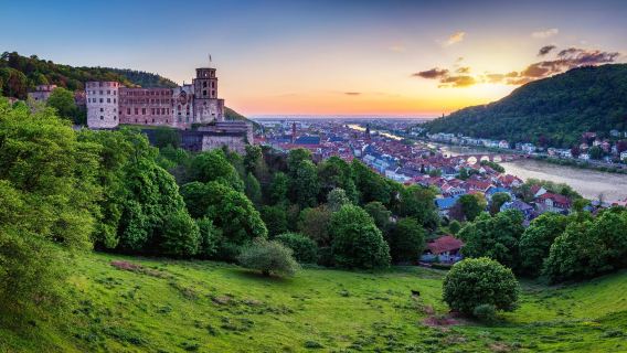 Frankfurt pergi-balik: Heidelberg + Muzium Kotak Muzik + Lorong Burung Kekicau + lawatan sewa peribadi + tiket tidak termasuk