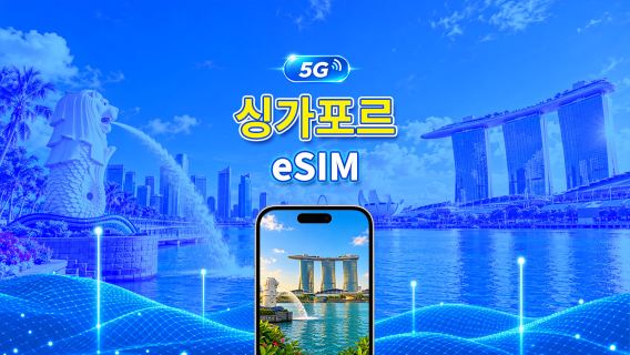 싱가포르 4G eSIM | 듀얼 네트워크 | 일일/총 데이터 패키지 | 1–30일 | 24시간 과금 | QR 코드