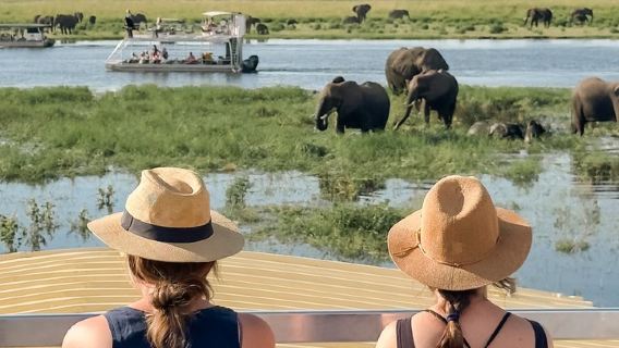 Victoria Falls'tan Chobe Ulusal Parkı Küçük Grup Gün Safari