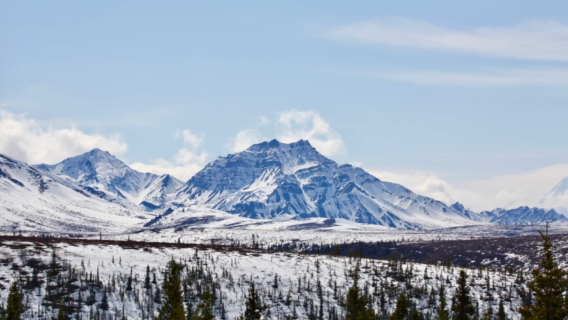 Fairbanks, Amerika Syarikat | Gunung bersalji dan kereta luncur anjing sewaan peribadi lawatan sehari