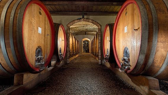 San Salvatore MonferratoExperiences
