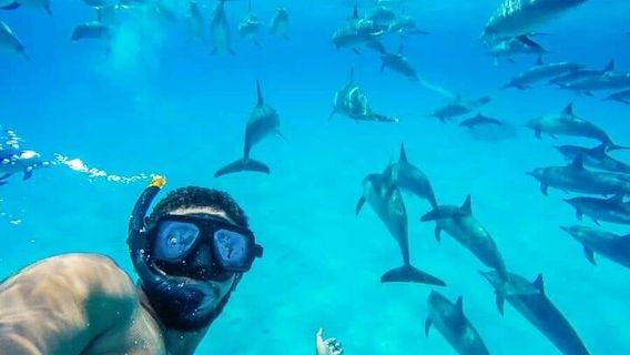 HurghadaExperiences