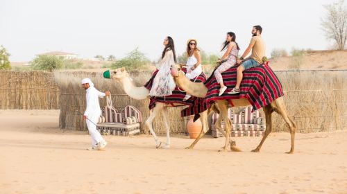 Premium  Hot Air Balloon Sunrise Tour with Exlusive In-Flight Falcon Show, Breakfast, Camel,Transfer 7