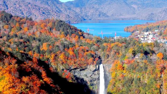 TokyoTours